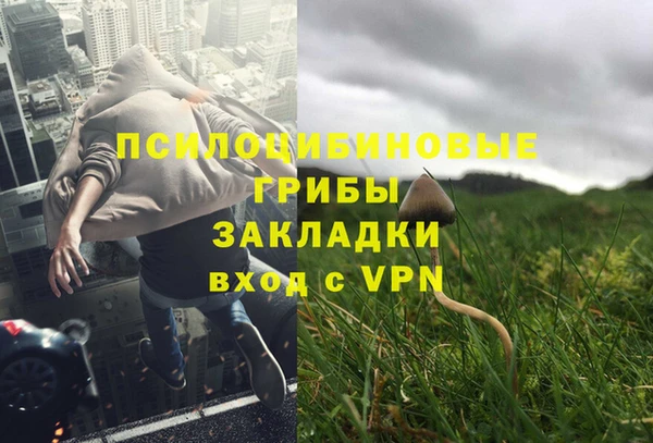 мяу мяу мука Балабаново