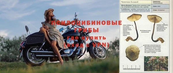 мяу мяу мука Балабаново